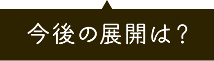 今後の展開は？