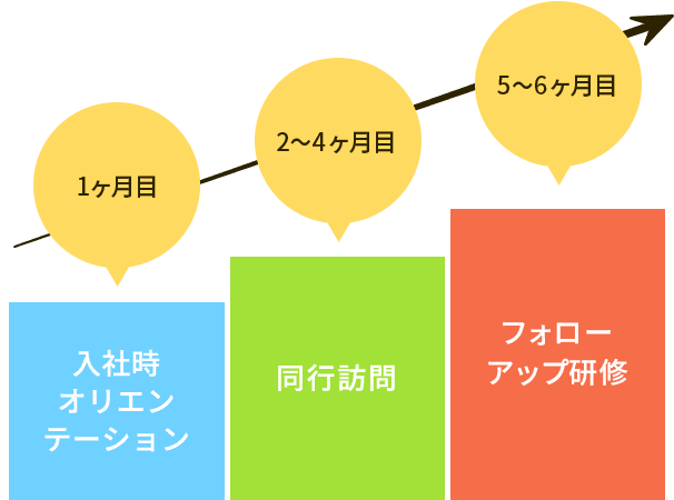 1ヶ月目:入社時オリエンテーション 2～4
										ヶ月目:同行訪問 5～6ヶ月目:フォローアップ研修